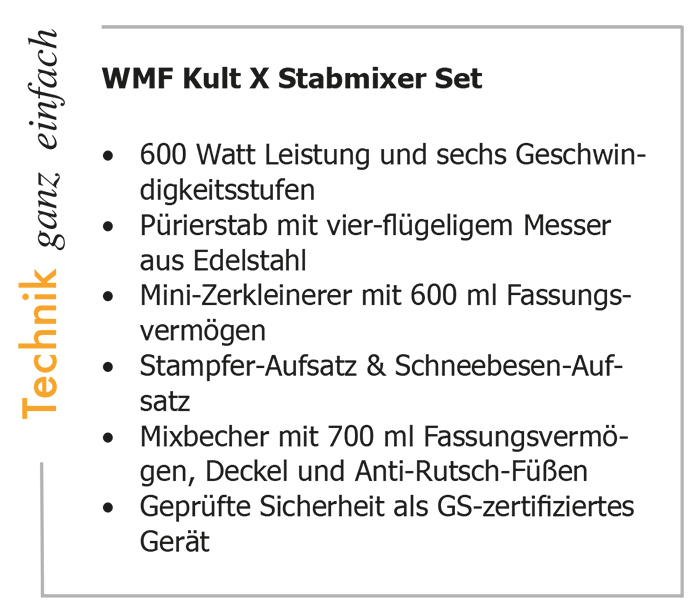 Ueberblick-wmf-stabmixer-kult
