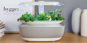 Das neue Indoor Gardening System SmartGrow Life von Bosch verlagert den Kräutergarten in die eigenen vier Wände