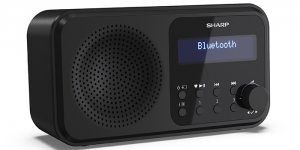 Tragbares Radio mit kabellosem Bluetooth-Streaming